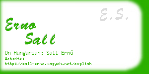 erno sall business card